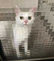 https://images.plurk.com/1YyQ9n7jXVpRPZuUgJWW83.jpg