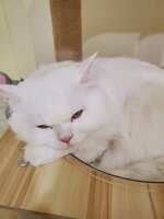 https://images.plurk.com/1YzZozSqLUTPLHrLFEtVix.jpg