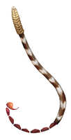 https://images.plurk.com/1Z1hMEX8NL79hsXcgL7U1Z.jpg
