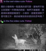 https://images.plurk.com/1Z5tLMMbmrl9oqQwkHwPX5.jpg