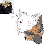 https://images.plurk.com/1Z94LFFzpX7cmDHxqw6stR.jpg