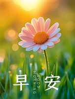 https://images.plurk.com/1ZAMzyiYsLdQXTCEcd2V19.jpg
