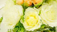 https://images.plurk.com/1ZDzWzOPCKwTSmpCAWomPV.jpg