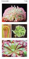 https://images.plurk.com/1ZFcBbPenLsqetQMi9MaTS.jpg