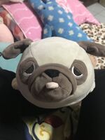 https://images.plurk.com/1ZFx2f6eNpzTrioJ3sYvo1.jpg