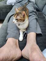 https://images.plurk.com/1ZLfEPXq2qh2OK9O45R5G4.jpg