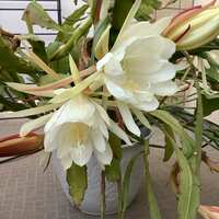 https://images.plurk.com/1Zbl1yCveV5jkQqGHlUjI7.jpg