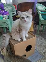 https://images.plurk.com/1ZjBEVPw4rA6ZubRhesm8Q.jpg