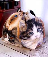 https://images.plurk.com/1Zk10iOydpdlmalMVwW7qk.jpg