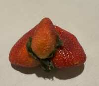https://images.plurk.com/1ZsXZ9CPodjQCYCpGjLC5t.jpg