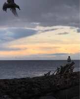https://images.plurk.com/1ZscPWdUOOVHjuywJKc248.jpg