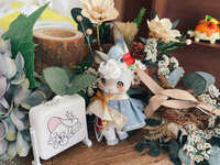 https://images.plurk.com/1ZyWB6bftz4f2GudoJu9H8.jpg