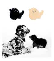 https://images.plurk.com/1a3Jkwj9yIad4Ch2AR80Be.png