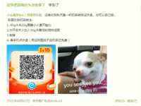 https://images.plurk.com/1a4RgBSOyBxEzRlXmKCKeU.png
