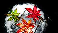 https://images.plurk.com/1a7DDT4F0k71dC4Vzb9hGG.jpg