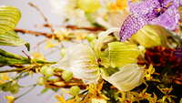 https://images.plurk.com/1aA9h3xQnf9nFAtS8XDhwG.jpg