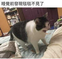 https://images.plurk.com/1aArmawydMIRg5mQMEf0C0.jpg