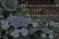 https://images.plurk.com/1aLnR8bWtOgwRKRG26Gro6.jpg