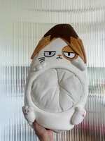 https://images.plurk.com/1aRgrJYwK8bCB2eaRQQ3AF.jpg