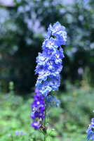 https://images.plurk.com/1aUEynzD5AmDOKlsRQ9Q4M.jpg