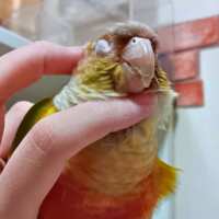 https://images.plurk.com/1aX79IinBpk5PR8TGFgKwF.png