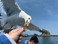 https://images.plurk.com/1ae1z09Mh8h6rL6SoSdZ7u.jpg