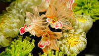 https://images.plurk.com/1ajP0lHFGu4uMh7seTHJZc.jpg