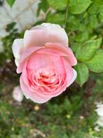 https://images.plurk.com/1anQHhuf6wn4E6bUHa2nDV.jpg