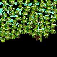 https://images.plurk.com/1atjxi2m0CzTxzrOKJhiU2.png