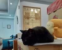 https://images.plurk.com/1b5BZmycRpGLb7qDV3ui0N.jpg