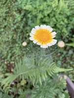https://images.plurk.com/1bAqdKrAWcqp1Gqkwv0Mw8.jpg
