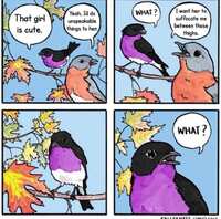 https://images.plurk.com/1bLD0Mi3JpOdA5EFkgo8cq.png