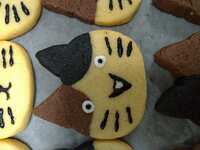 https://images.plurk.com/1bUidOhf4lX7ZA0FbMMq4F.jpg
