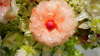 https://images.plurk.com/1bd5qlNpFHO23Iko2EaUoL.jpg
