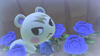 https://images.plurk.com/1blJvCRM6bMsgDqjQRcMLV.jpg