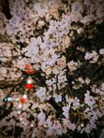 https://images.plurk.com/1blnWfoU0oefTcMj9bqw5m.jpg