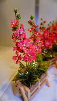 https://images.plurk.com/1bn5ty79KUBQiT6bhnwv2G.jpg