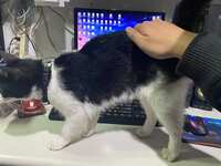 https://images.plurk.com/1bpLagInf4WsTs1mXrtgfK.jpg