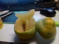 https://images.plurk.com/1bskWTtZpaAmPKLqmxnUNj.jpg