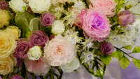 https://images.plurk.com/1c4Bmoub9ytz02h67xgMSA.jpg