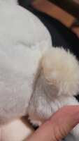 https://images.plurk.com/1cEI24UU4U6rEDfyVaqQc8.jpg