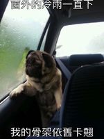 https://images.plurk.com/1cQCWFF7D0pn9ZGpplImJ4.jpg