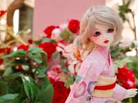https://images.plurk.com/1cR0STpgVTZj05C0p1Fy0V.jpg