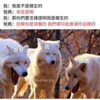 https://images.plurk.com/1cWhpLTbLtP0w5btOfVSO2.jpg