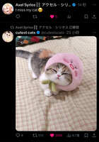 https://images.plurk.com/1cZ2dDC9vC3mBZGhWImtD0.jpg