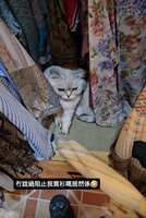 https://images.plurk.com/1cativLnijMvzGfZDmUlzN.jpg