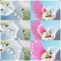 https://images.plurk.com/1cdqrLBRCMiclkneLX9Jli.png