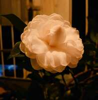 https://images.plurk.com/1cefVuDiWfRnzbPg6uXQou.jpg