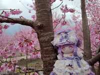 https://images.plurk.com/1cjw3rE0sP8VhwxPXPQAv8.jpg