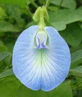 https://images.plurk.com/1cnCa3PxTZWYKpwFkg5JkP.jpg